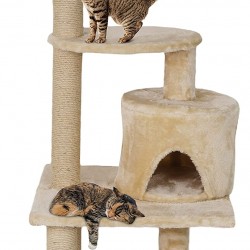 Cat Scratching Tree with Double Stand
