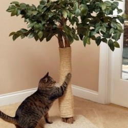 Cat Scratching Tree-Round Base