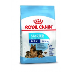 ROYAL CANIN STARTER MAXI (4KG PACK)